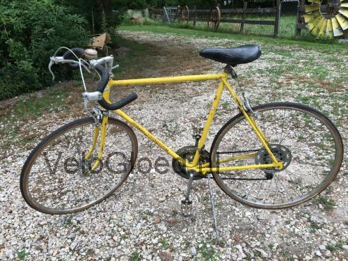 Schwinn Continental specificaties